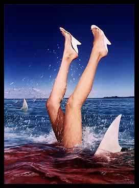 MATCH MERCREDI 13 DEC   21H00